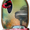 -Butterfly Car(13)