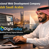 Professional Web Development Company