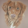 Charlie