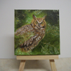 Great Horned Owl