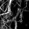 IMG 6818