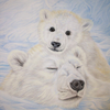 Big Bear Hugs
