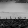 Skyline of the 