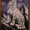Snow Leopard