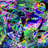 Crexis