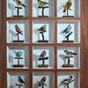 Twaalf vogeltjes op een stokje