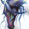 ~Ulinska-Lisowska Original Purple  Horse  Waterco