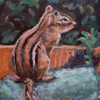 Chipmunk on Chair