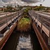 Alhambra Creek - October 14  2025