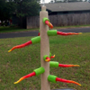 Burning Bush