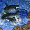 Orcas Family Frolicks