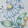 Crexis