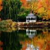 Gazebo at the Edge of Quiet and Peaceful 