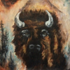 Colorado Bison