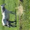 IMG 0134 2