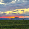 photography by Patti