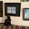 CAT’S NATURE