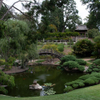 Japanese Garden@ The Huntington