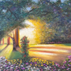Daybreak At Beacon Hill Park
