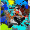Crexis