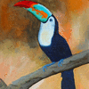 Full Toucan