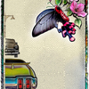 -Butterfly Cars