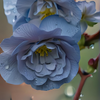 Uncategorized