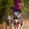 Husky duo run