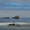 IMG 6854