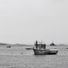 Boat on the Paracas Coast