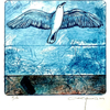 Seagull in the storm