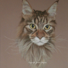 Cleo Ogden copyright