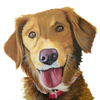 Golden retriever puppy