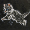 Kitten Dreams lights on 1