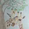 Giraffenpaar