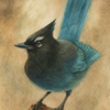The Bird