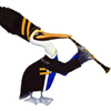 Pelican playing clarinet