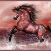 'Wild and Free'