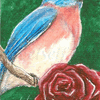 Bluebird and Rose ACEO