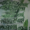 Winter In The Pines Painting# 59