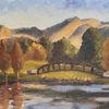 SOLD Liberty Park Pond #4