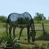 Wire Horse 32