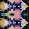 332555952 mirror10
