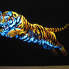 Kitten Dreams lights out 3