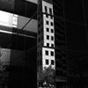 IMG 5363