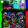 Crexis