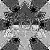 167213564 mirror22