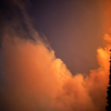 forest fire 