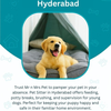 Pet Sitter in Hyderabad