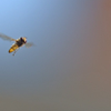 To Hover